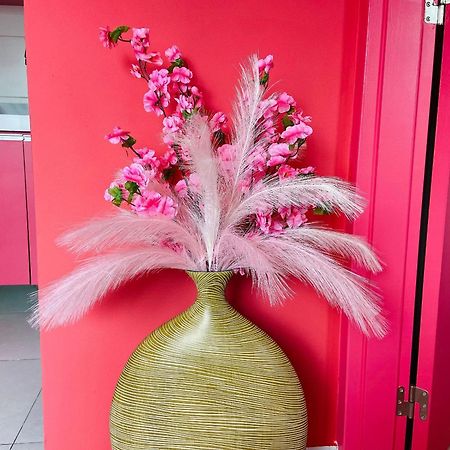 O Apartamento Rosa João Pessoa 外观 照片