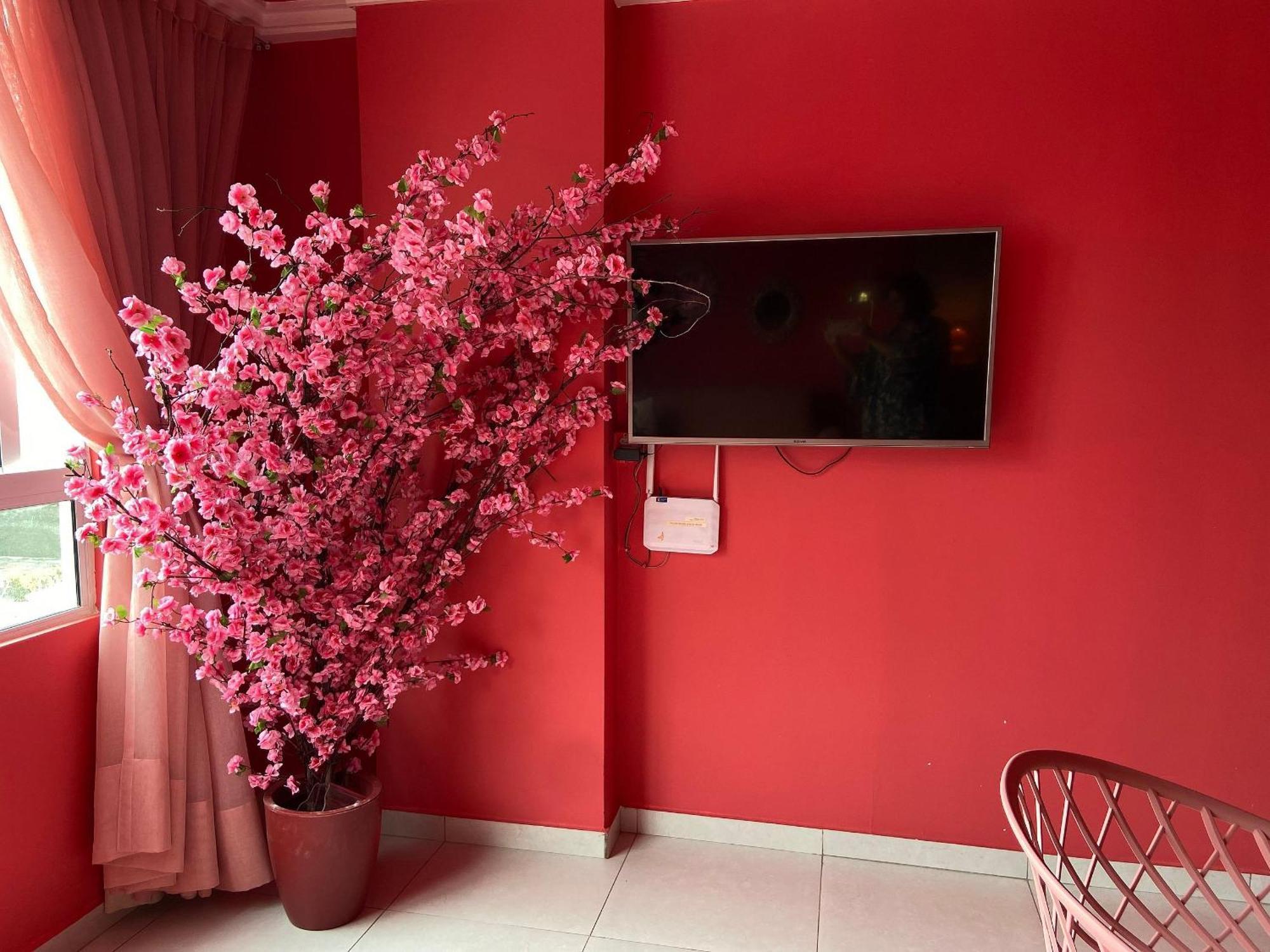 O Apartamento Rosa João Pessoa 外观 照片